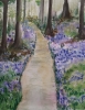 Bluebell Woods