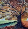 Autumn Tree