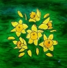 Daffodils 