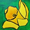 Daffodils 