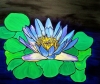 Blue Water Lily