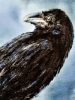 Eyes of Odin; Huginn and Munnin