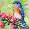 Bluebird oil painting 