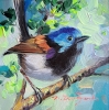 Fairywren art bird oil painting