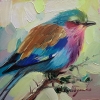 Lilac-breasted Roller bird