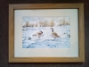 Canada Geese in Snow