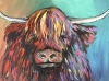 Highland Cow