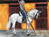 SPANISH HORSEMAN AT STABLES