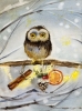 Owl with New Year's gifts