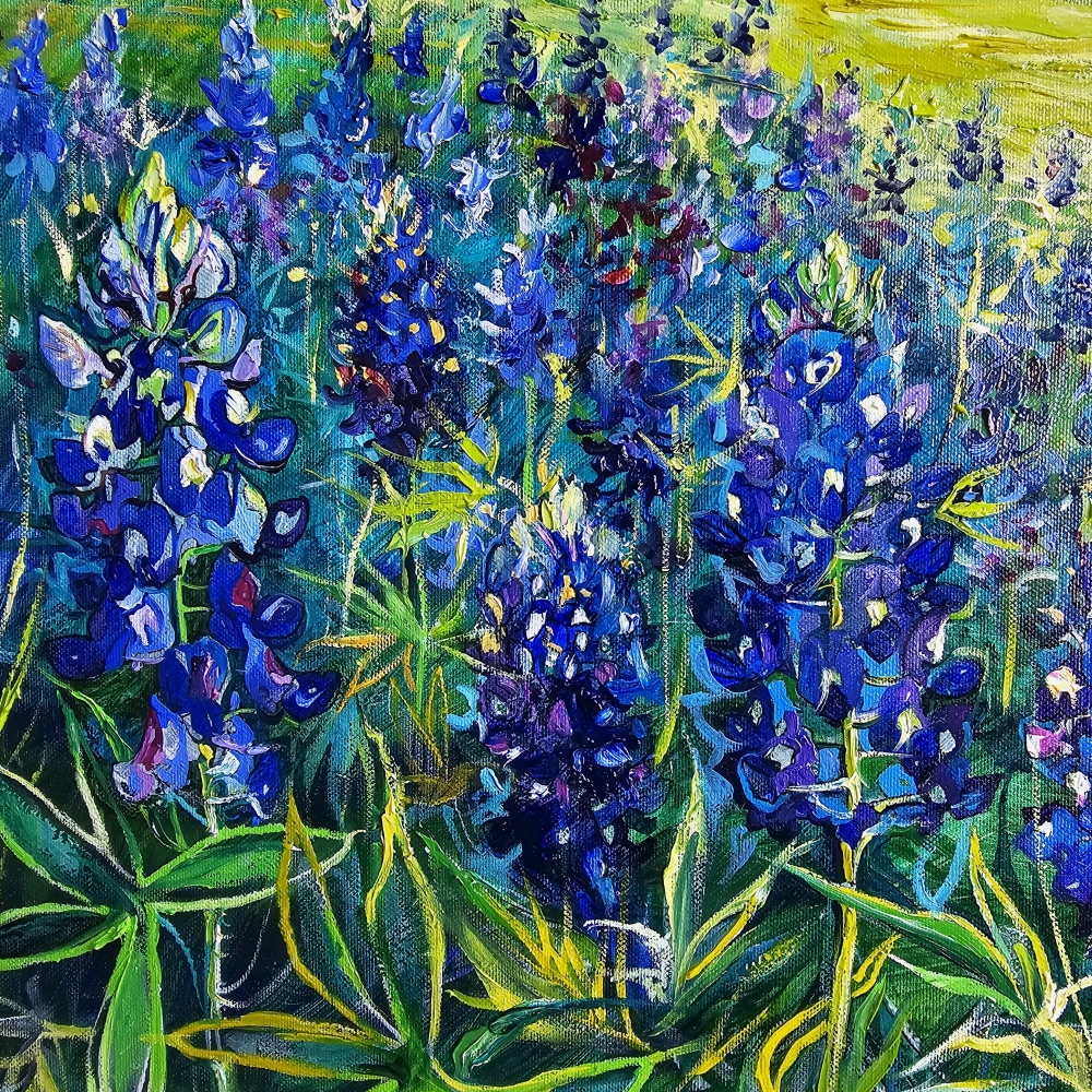 Texas blue bonnets