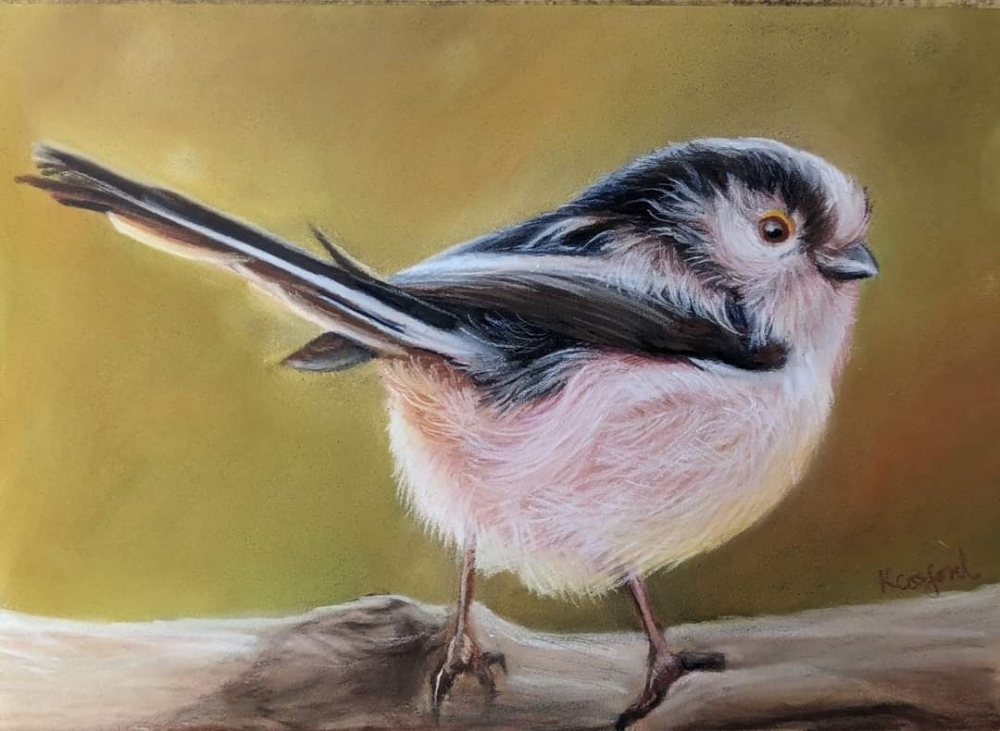 Long Tailed Tit Pastel Portrait 