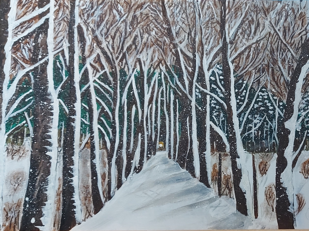 A winter trail