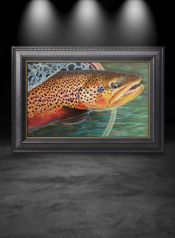 Trout - the gold of the rivers