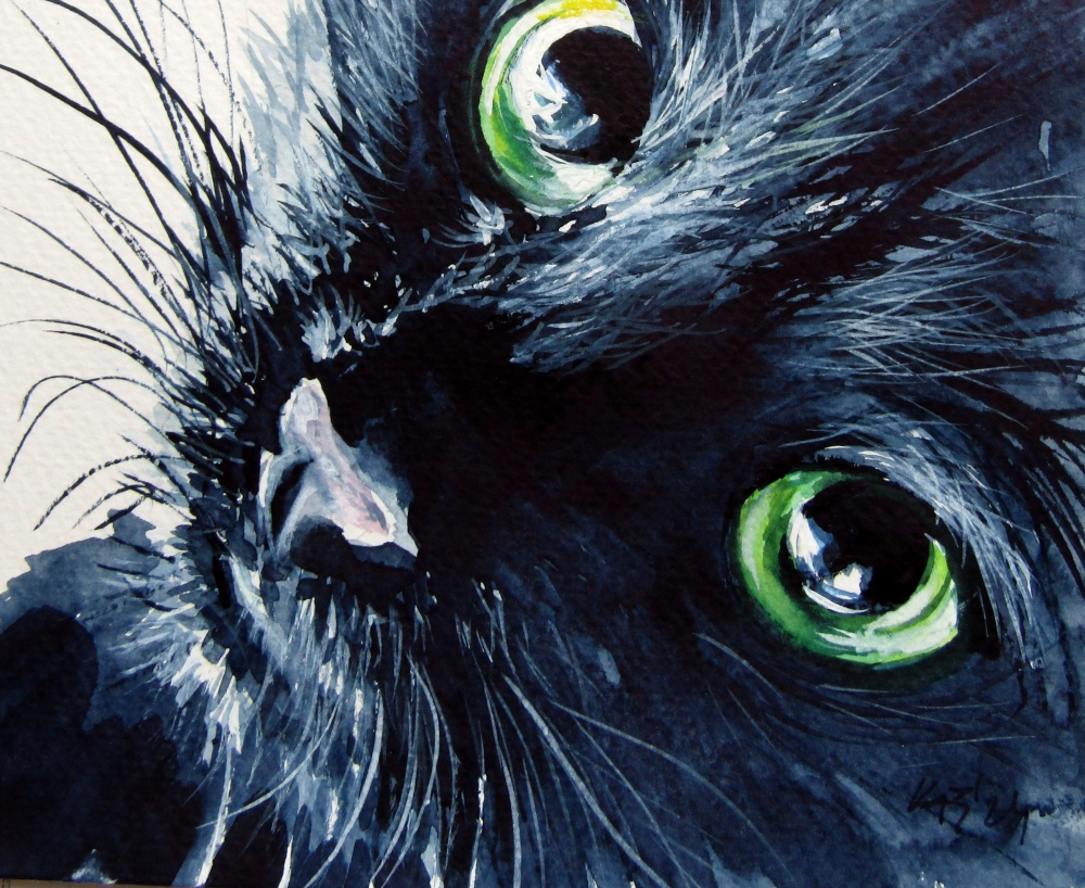 Black cat 2