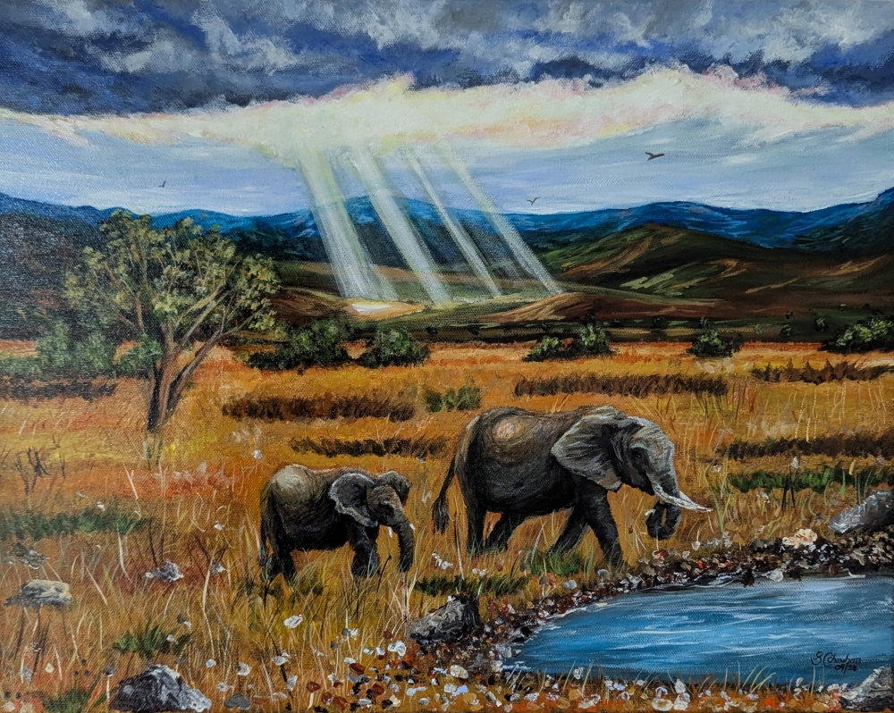 Elephants in landscape 