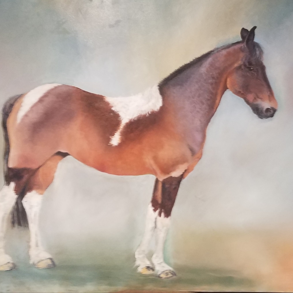 Brown and white horse