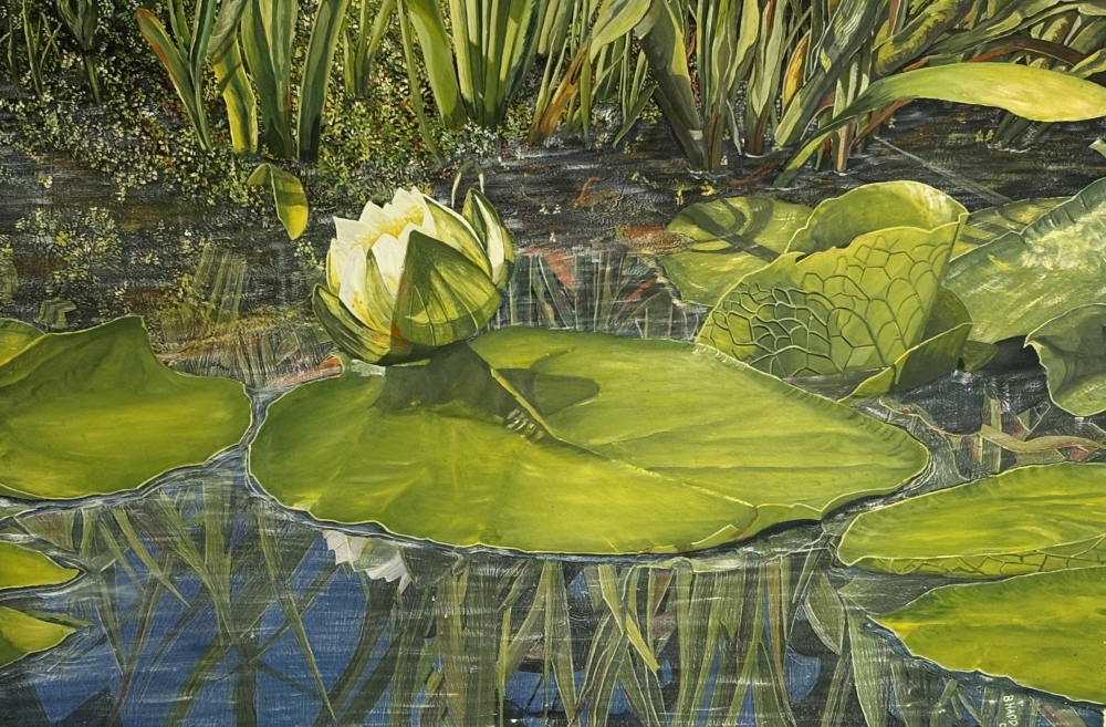 Lily Pad