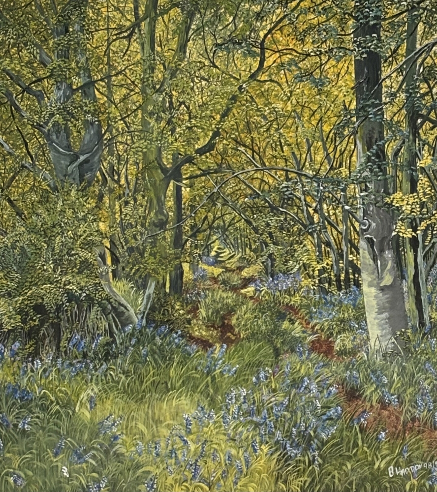 Bluebell Wood