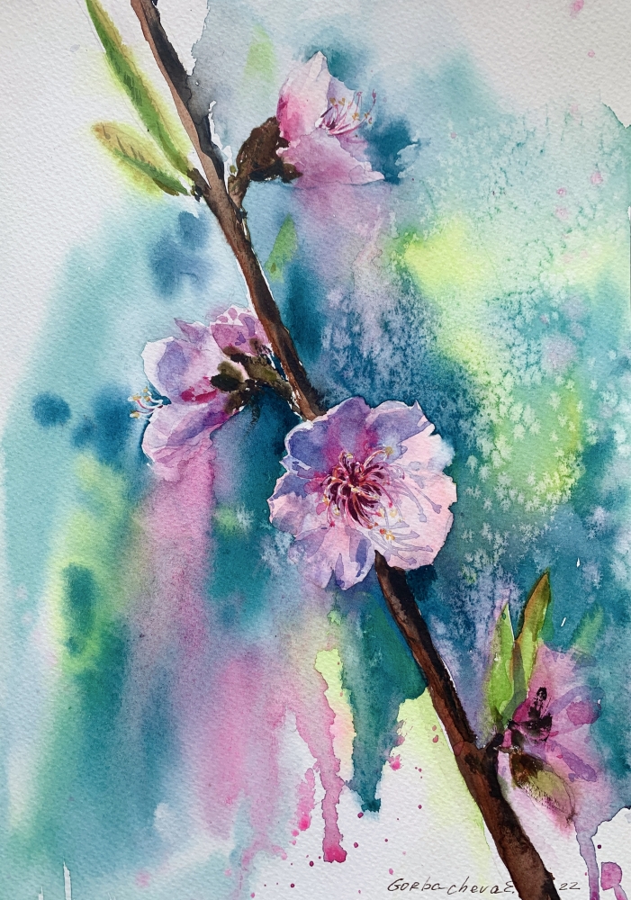 Almond flowers #3