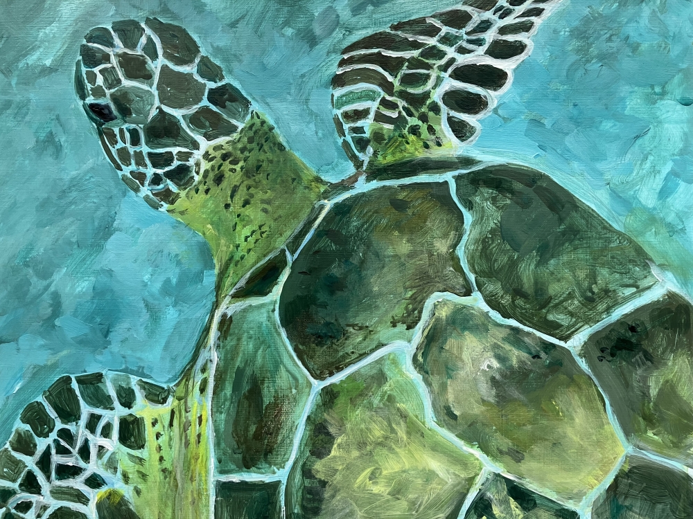 Sea Turtle 2