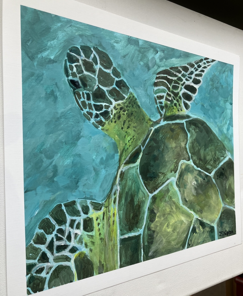 Sea Turtle 2