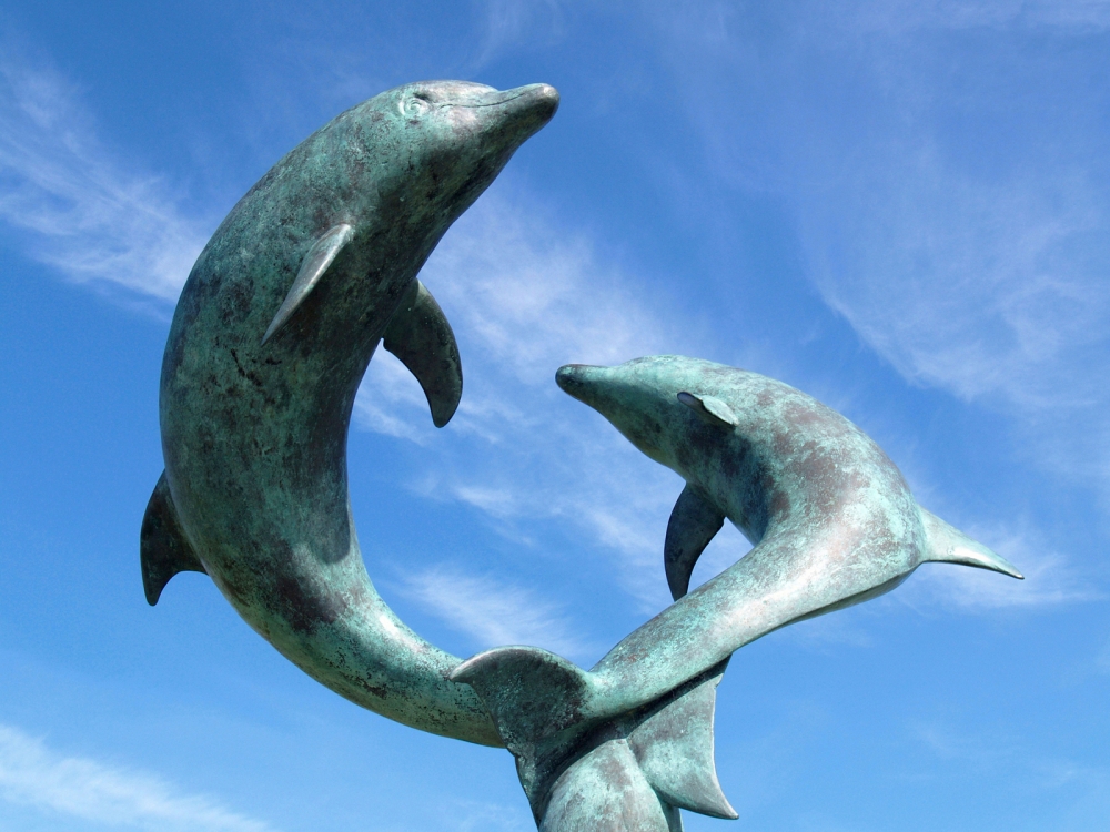 Leaping Tresco Dolphins