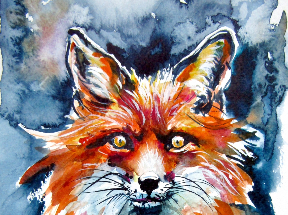 Red fox portrait