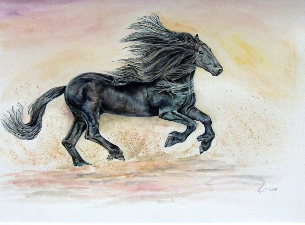 Fine Black Horse