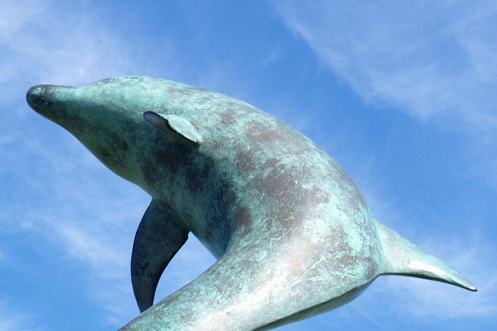 Leaping Tresco Dolphins