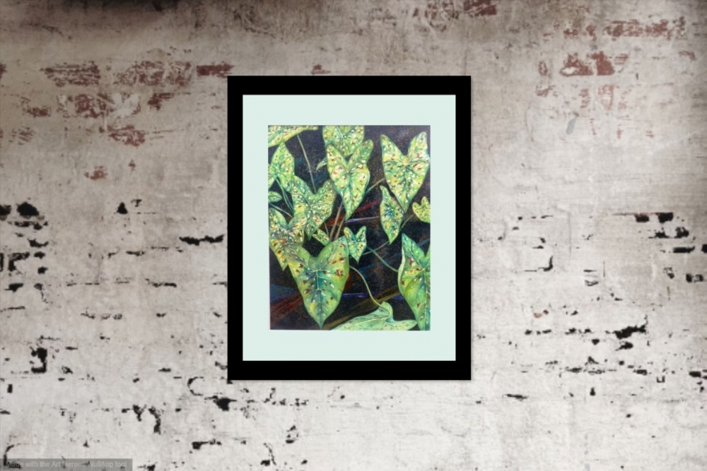 Green Caladium Leaves