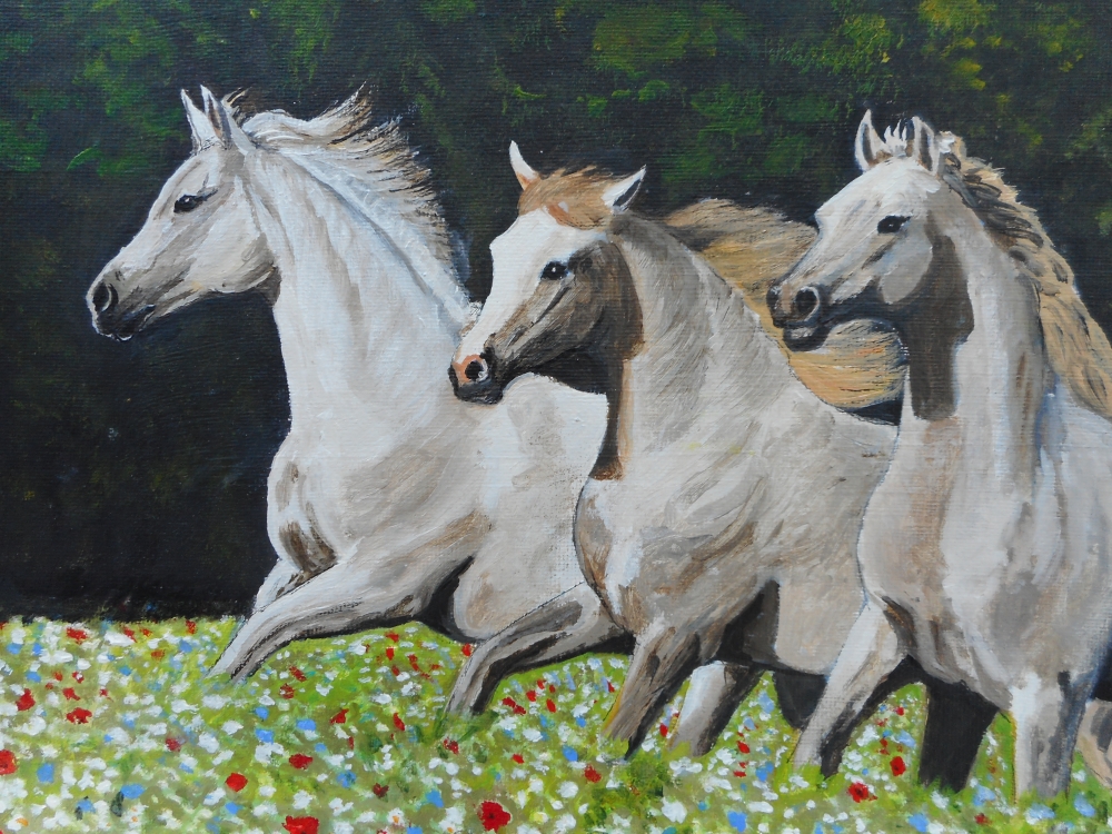 WHITE HORSES IN WILDFLOWER MEADOW