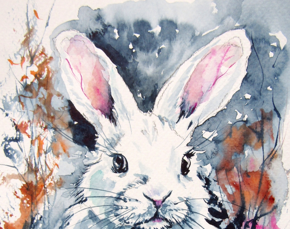 White rabbit