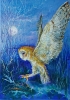 Flying owl