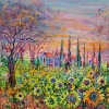 Sunflower field, cypress, countryside landscape