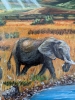 Elephants in landscape 