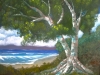 Beach Tree