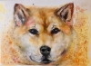 Shiba Inu painting 