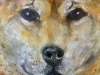 Shiba Inu painting 