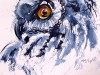 Owl portrait 2