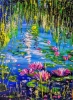 Water lilies 