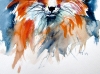 Red fox portrait