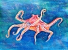 Red Octopus