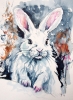 White rabbit