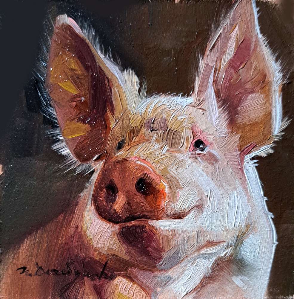 Pig portrait