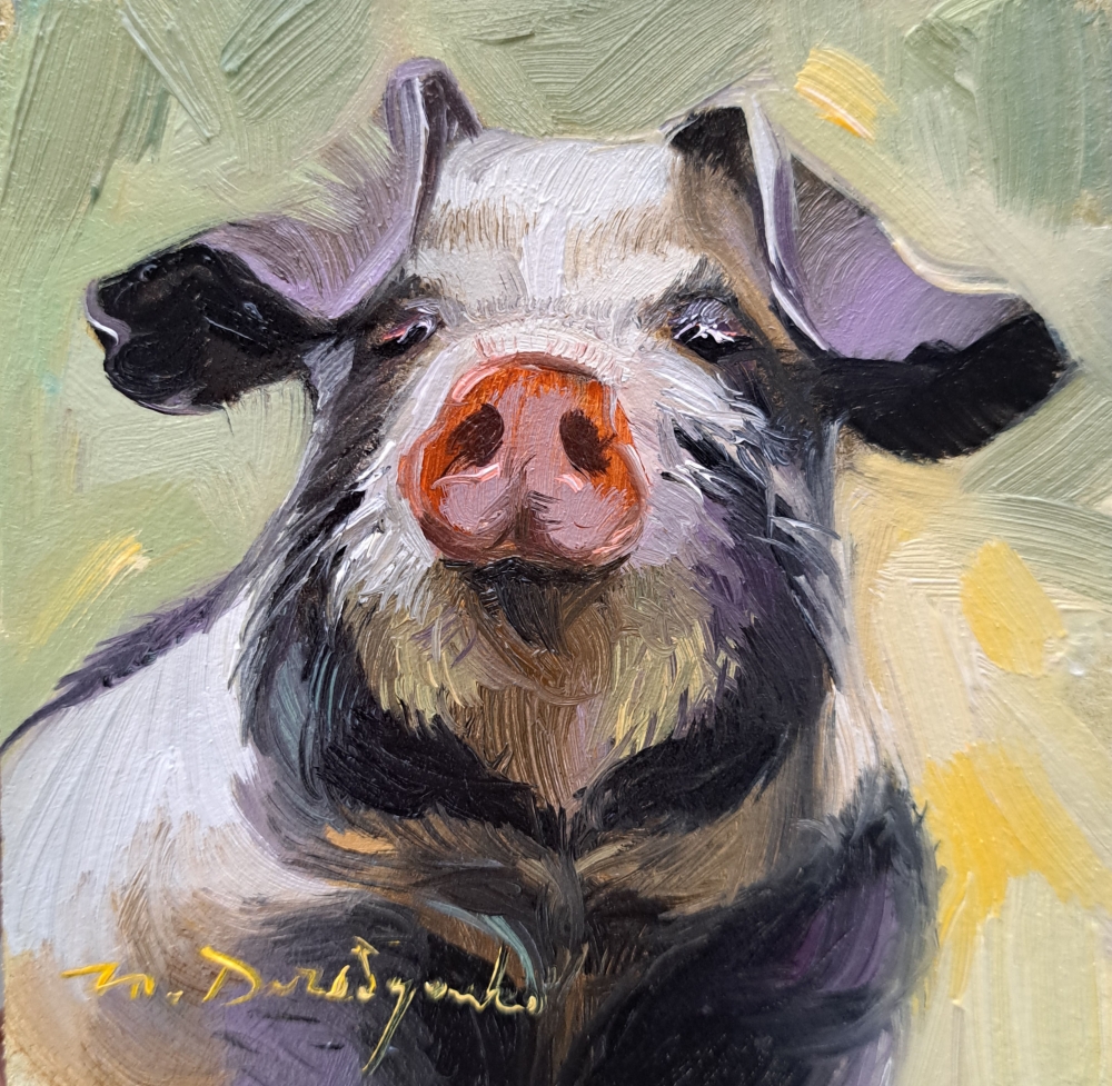 Pig portrait