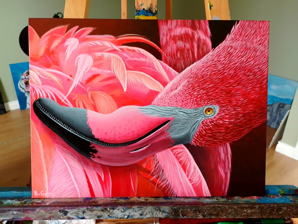 Flamingo