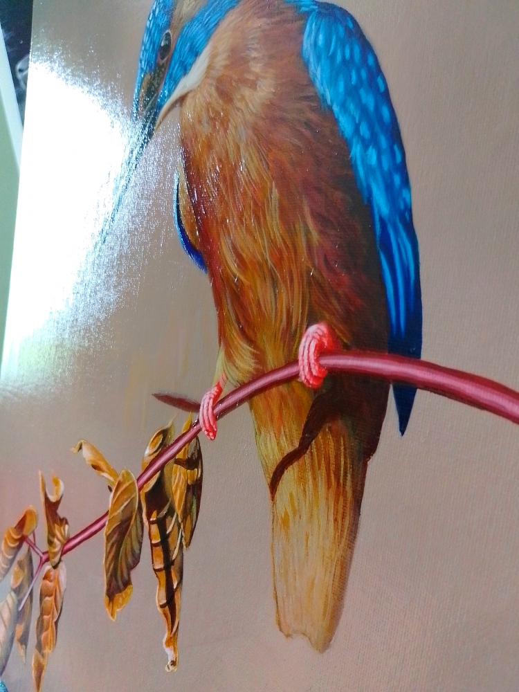 Kingfisher 2