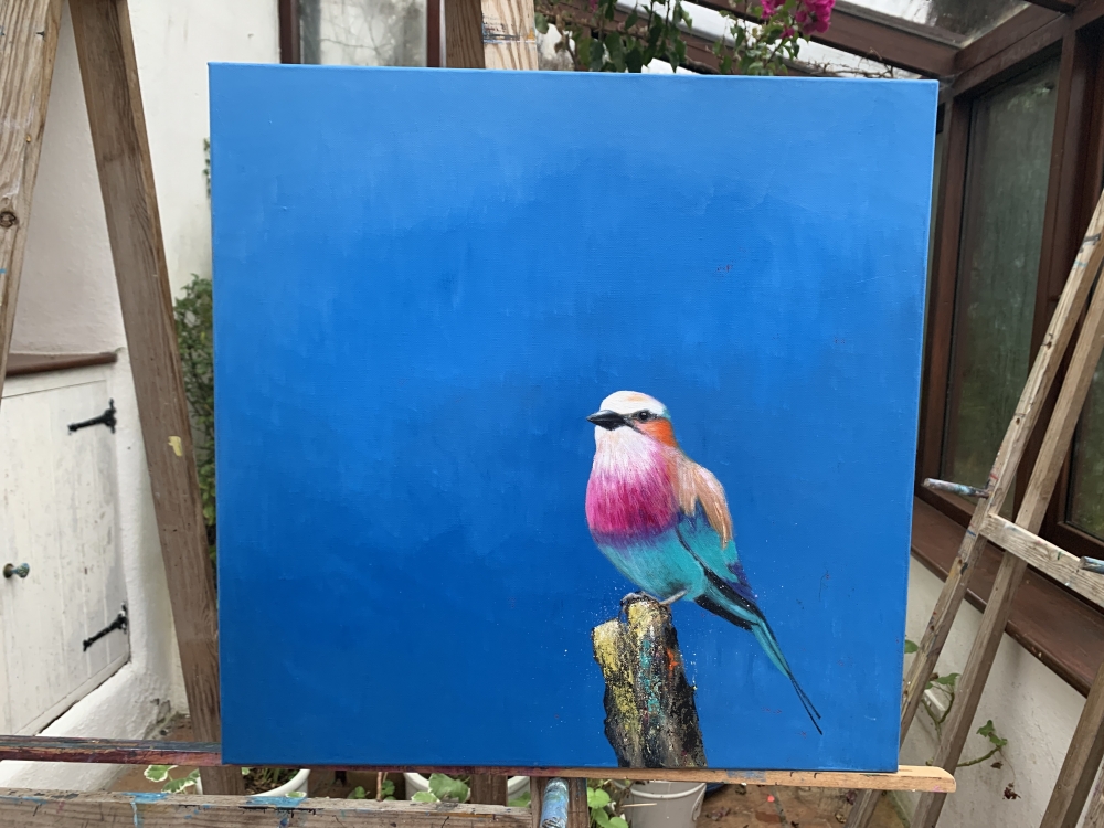 Lilac Breasted Roller Under An African Sun