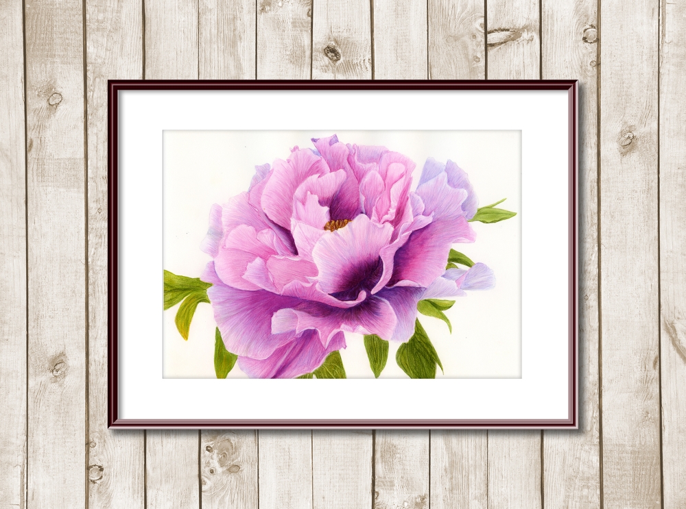 Peony Flower