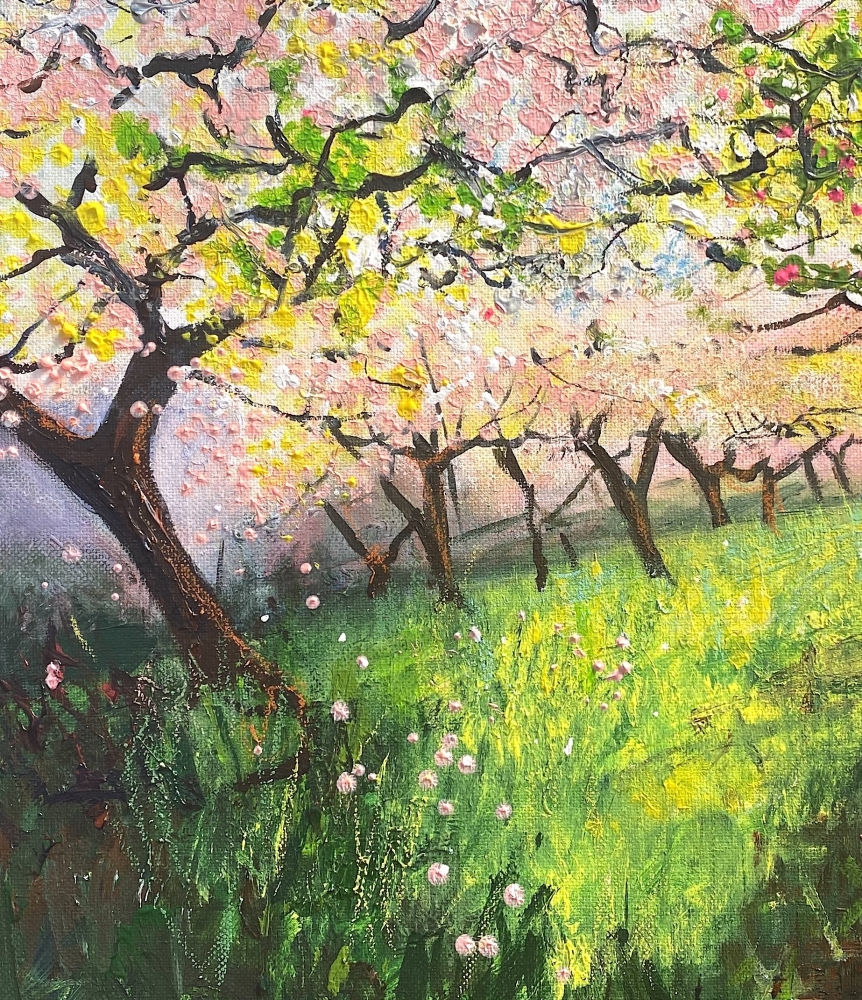 Pink Orchard Blossom in Spring